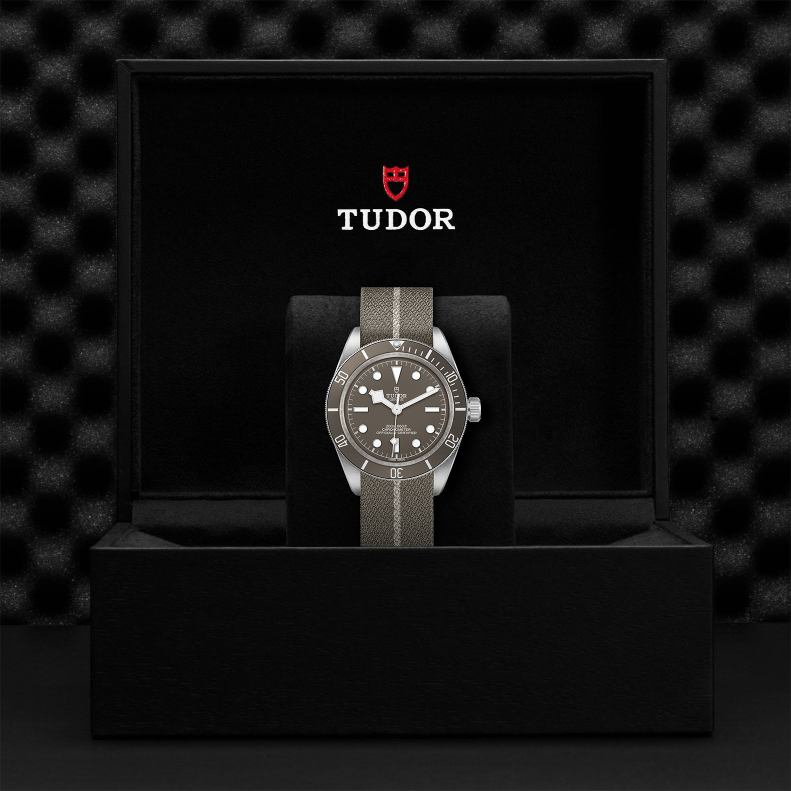 Tudor Black Bay Fifty-Eight M79010SG-0002